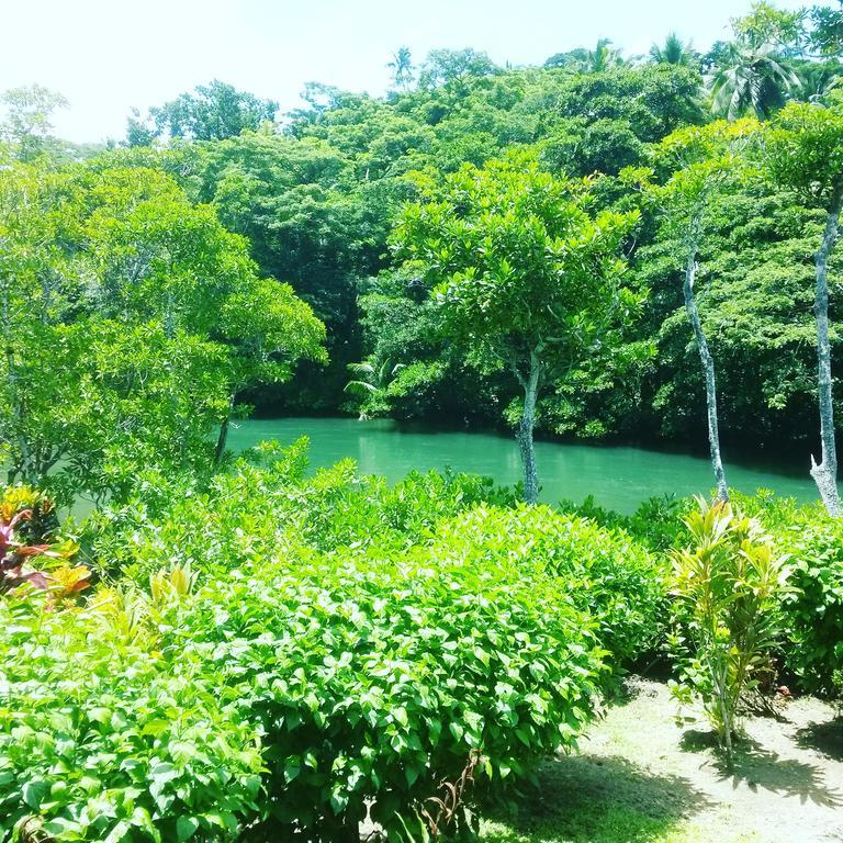 Salt Lake Lodge Savusavu Rom bilde